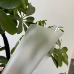 Textured matte polycarbonate film with frosted surface finish