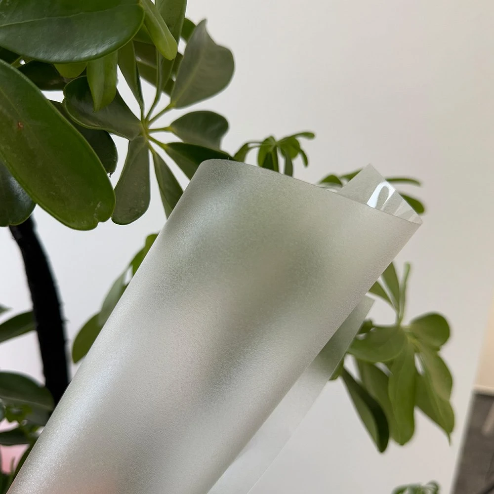 Textured matte polycarbonate film with frosted surface finish